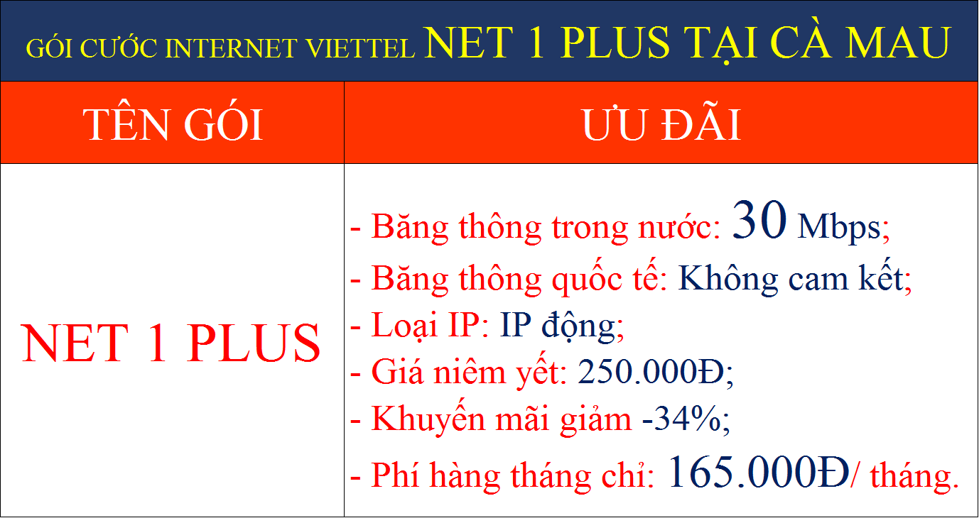 Gói cước internet Viettel Net 1 Plus tại Cà Mau