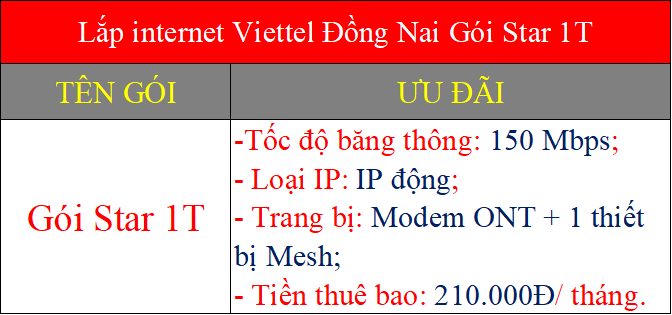 Lắp internet Viettel Đồng Nai gói Star 1T